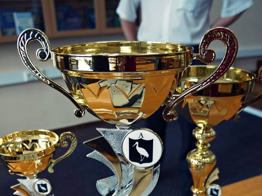 Відкритий турнір з шахів «Кубок Білої Лелеки»