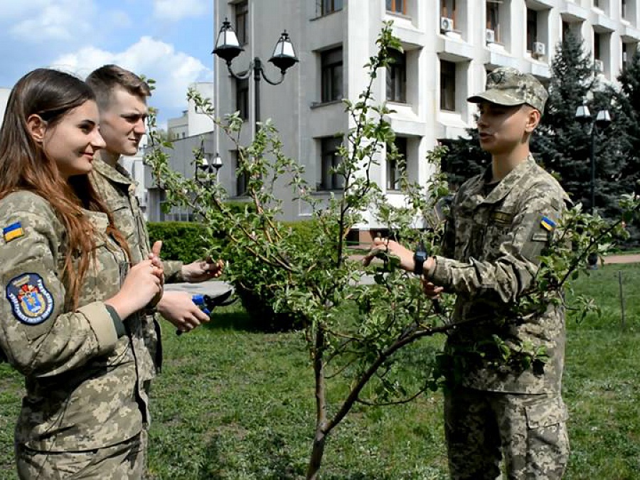 Фото квітень-червень 2018